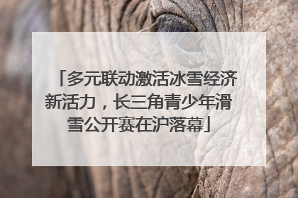 多元联动激活冰雪经济新活力，长三角青少年滑雪公开赛在沪落幕