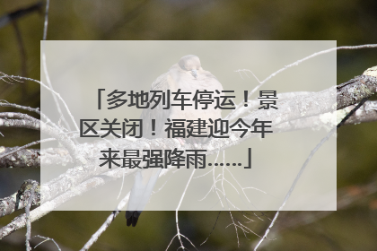 多地列车停运！景区关闭！福建迎今年来最强降雨……