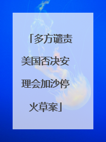 多方谴责美国否决安理会加沙停火草案
