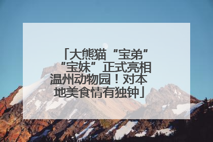 大熊猫“宝弟”“宝妹”正式亮相温州动物园！对本地美食情有独钟