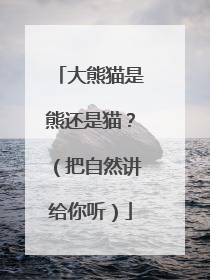 大熊猫是熊还是猫？（把自然讲给你听）