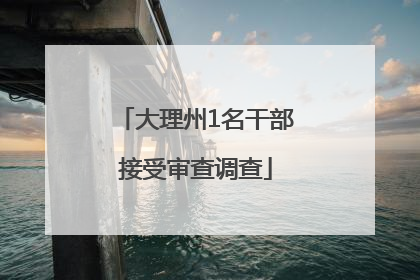 大理州1名干部接受审查调查
