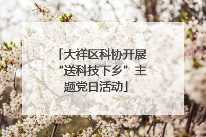 大祥区科协开展“送科技下乡”主题党日活动