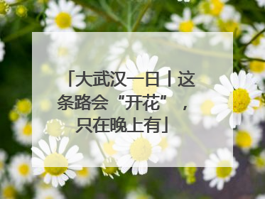 大武汉一日丨这条路会“开花”，只在晚上有