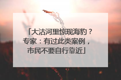 大沽河里惊现海豹？专家：有过此类案例，市民不要自行靠近