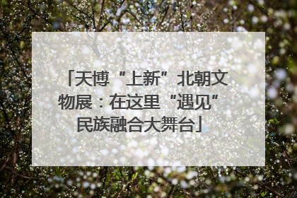 天博“上新”北朝文物展：在这里“遇见”民族融合大舞台