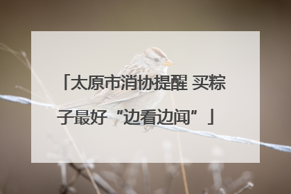 太原市消协提醒 买粽子最好“边看边闻”