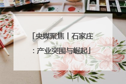央媒聚焦丨石家庄：产业突围与崛起