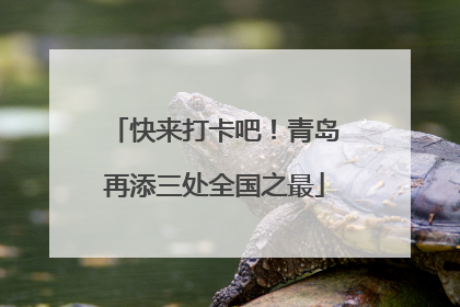 快来打卡吧！青岛再添三处全国之最