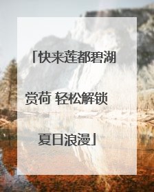 快来莲都碧湖赏荷 轻松解锁夏日浪漫