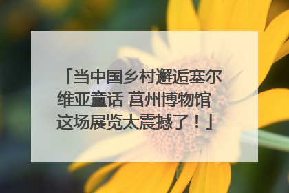 当中国乡村邂逅塞尔维亚童话 莒州博物馆这场展览太震撼了！