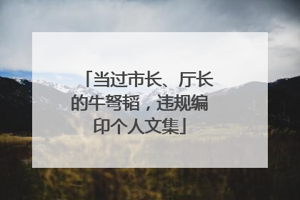 当过市长、厅长的牛弩韬，违规编印个人文集
