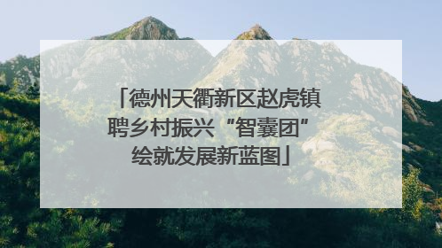 德州天衢新区赵虎镇聘乡村振兴“智囊团” 绘就发展新蓝图