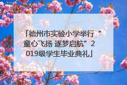 德州市实验小学举行“童心飞扬 逐梦启航”2019级学生毕业典礼