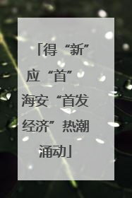 得“新”应“首” 海安“首发经济”热潮涌动