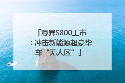 尊界S800上市：冲击新能源超豪华车“无人区”