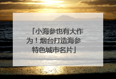 小海参也有大作为！烟台打造海参特色城市名片