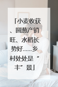 小麦收获、圆葱产销旺、水稻长势好……乡村处处是“丰”景