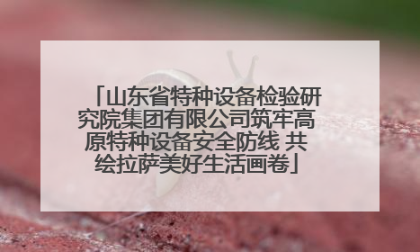 山东省特种设备检验研究院集团有限公司筑牢高原特种设备安全防线 共绘拉萨美好生活画卷