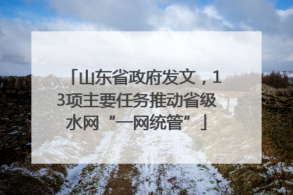 山东省政府发文，13项主要任务推动省级水网“一网统管”