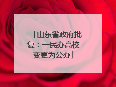 山东省政府批复：一民办高校变更为公办
