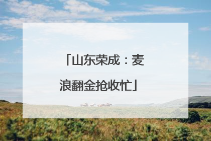 山东荣成：麦浪翻金抢收忙