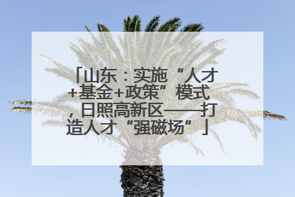 山东：实施“人才+基金+政策”模式，日照高新区——打造人才“强磁场”