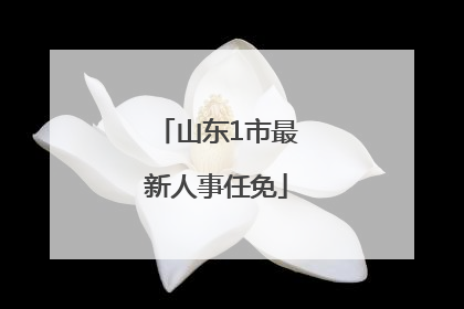 山东1市最新人事任免
