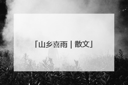 山乡喜雨｜散文