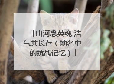 山河念英魂 浩气共长存（地名中的抗战记忆）