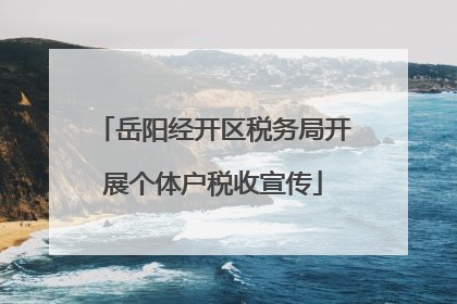 岳阳经开区税务局开展个体户税收宣传