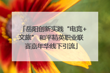 岳阳创新实践“电竞+文旅” 和平精英职业联赛嘉年华线下引流