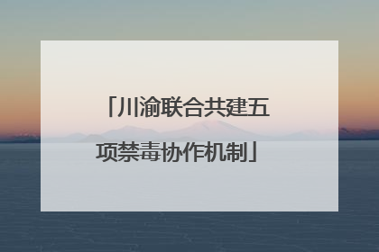 川渝联合共建五项禁毒协作机制