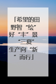 希望的田野智“绘”好“丰”景 “三夏”生产向“新”而行