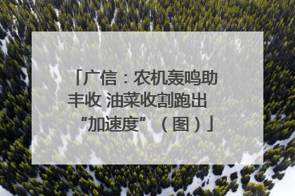 广信：农机轰鸣助丰收 油菜收割跑出“加速度”（图）