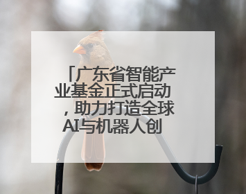 广东省智能产业基金正式启动，助力打造全球AI与机器人创新高地