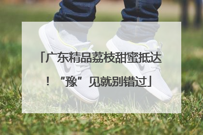 广东精品荔枝甜蜜抵达！“豫”见就别错过