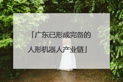 广东已形成完备的人形机器人产业链
