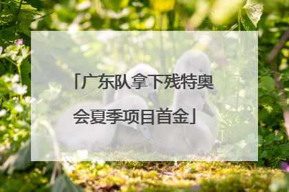 广东队拿下残特奥会夏季项目首金