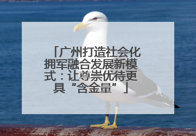 广州打造社会化拥军融合发展新模式：让尊崇优待更具“含金量”