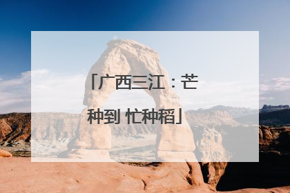 广西三江：芒种到 忙种稻
