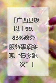 广西县级以上99.83%政务服务事项实现“最多跑一次”
