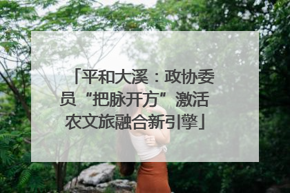 平和大溪：政协委员“把脉开方”激活农文旅融合新引擎