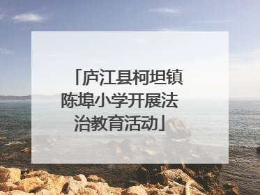 庐江县柯坦镇陈埠小学开展法治教育活动