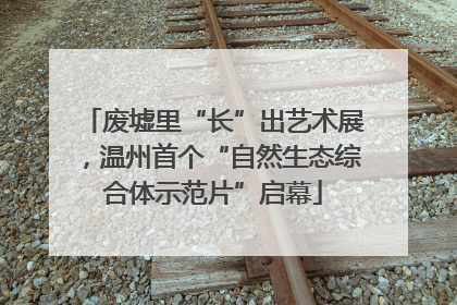 废墟里“长”出艺术展，温州首个“自然生态综合体示范片”启幕