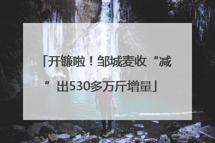 开镰啦！邹城麦收“减”出530多万斤增量