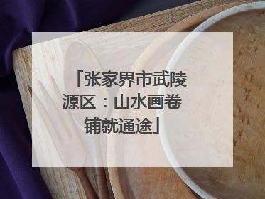 张家界市武陵源区：山水画卷铺就通途
