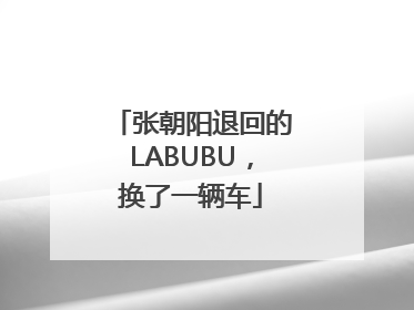 张朝阳退回的LABUBU，换了一辆车