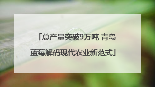 总产量突破9万吨 青岛蓝莓解码现代农业新范式