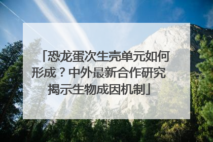 恐龙蛋次生壳单元如何形成？中外最新合作研究揭示生物成因机制